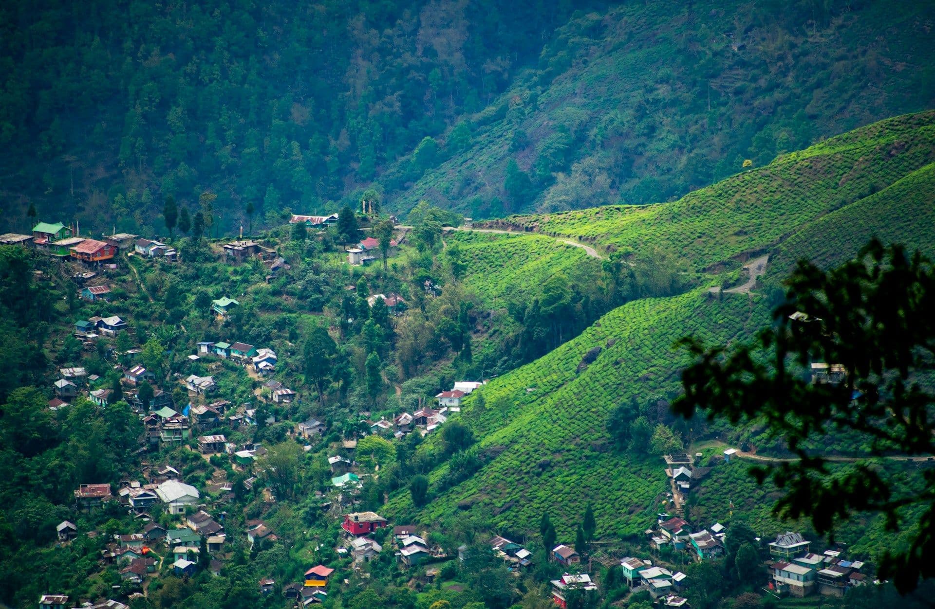 Sikkim Tour with Gangtok and Darjeeling