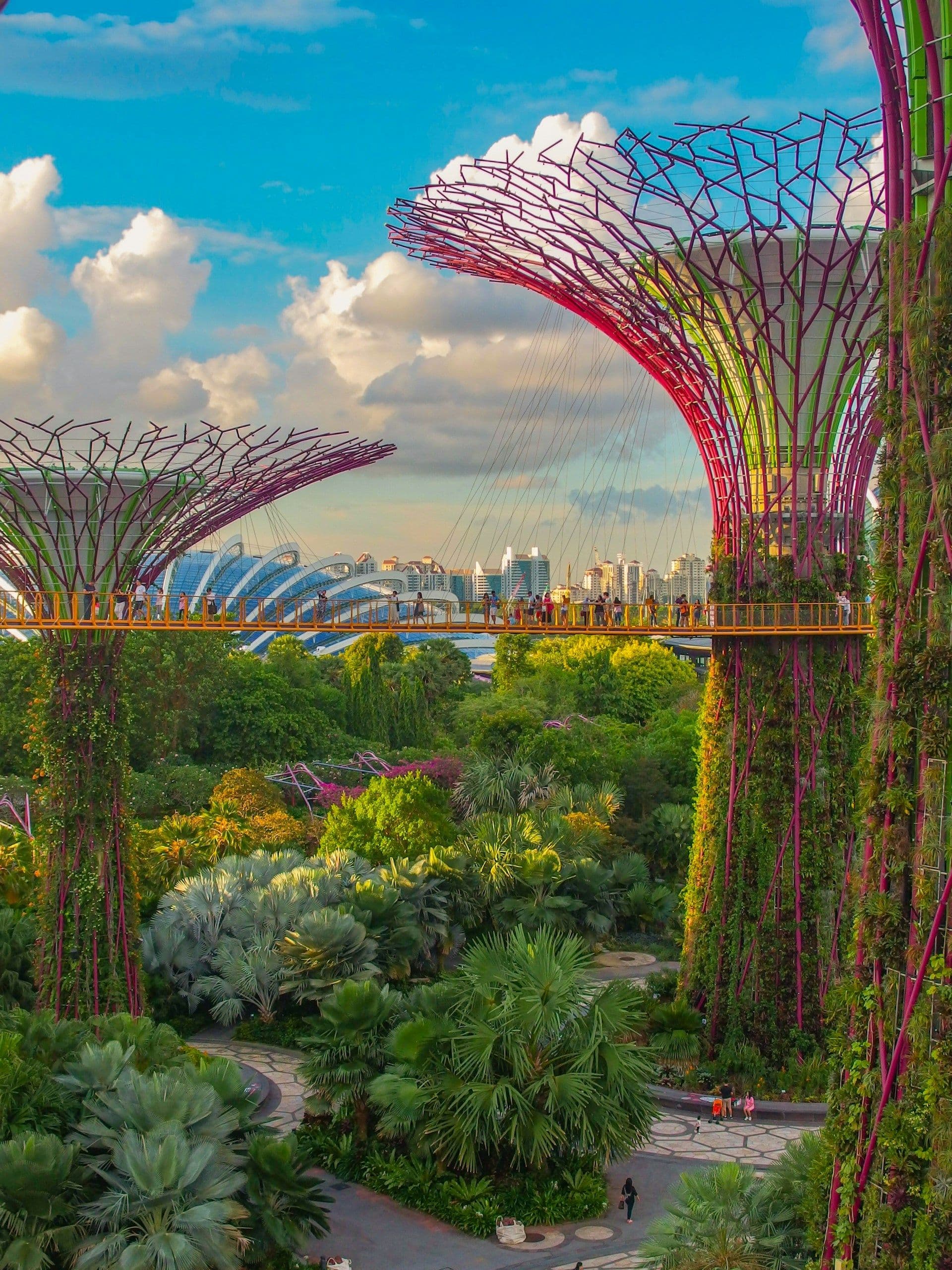 7 Days Singapore Honeymoon Package with Genting Dream Cruise 2