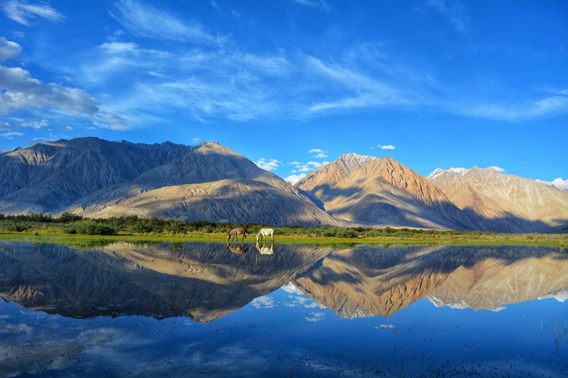 Ladakh Tour Packages