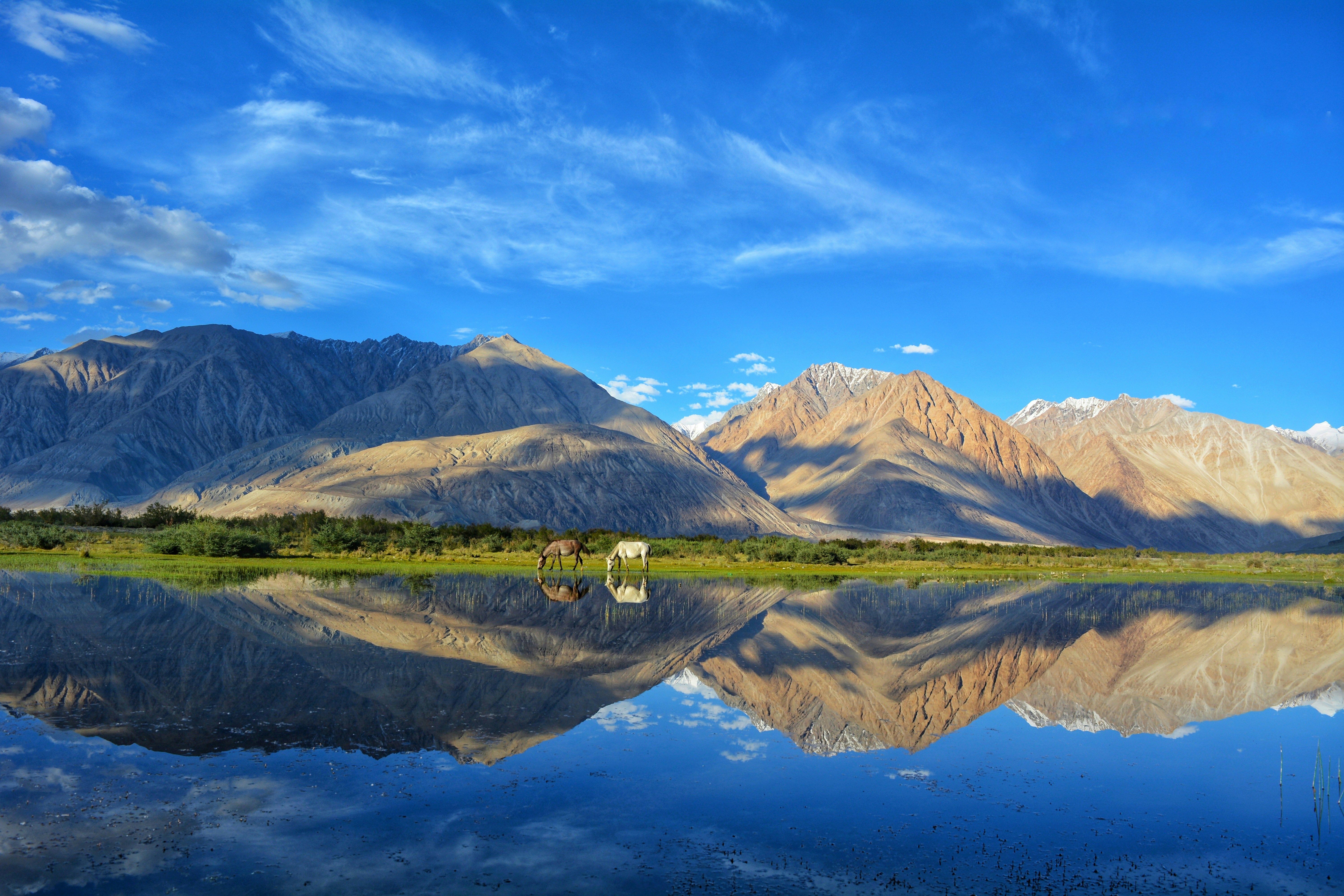 Ladakh Tour Packages
