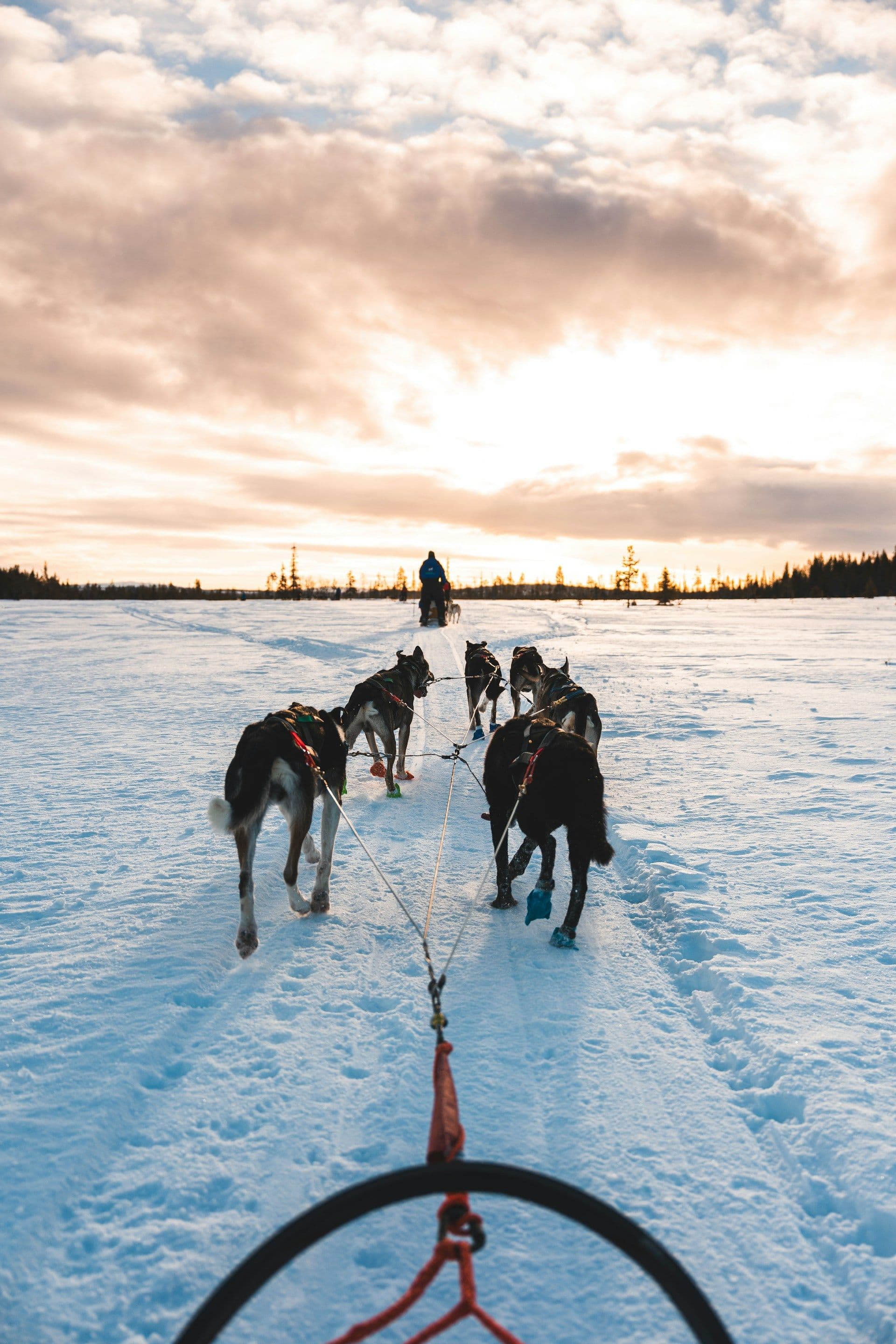 Finland Sweden Arctic Escape Tour Package