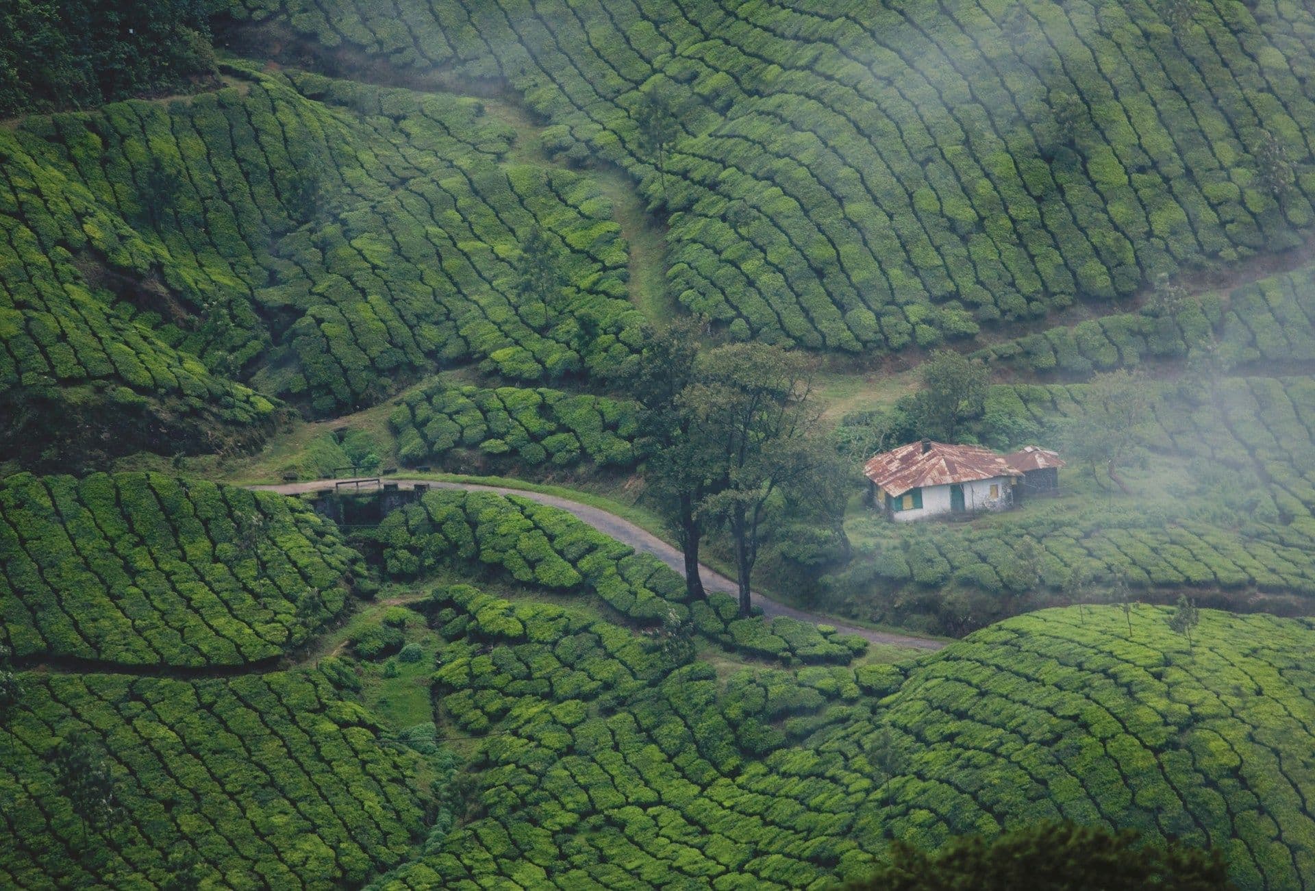 Kerala Family Trip – 6 Nights 7 Days Scenic Getaway 2