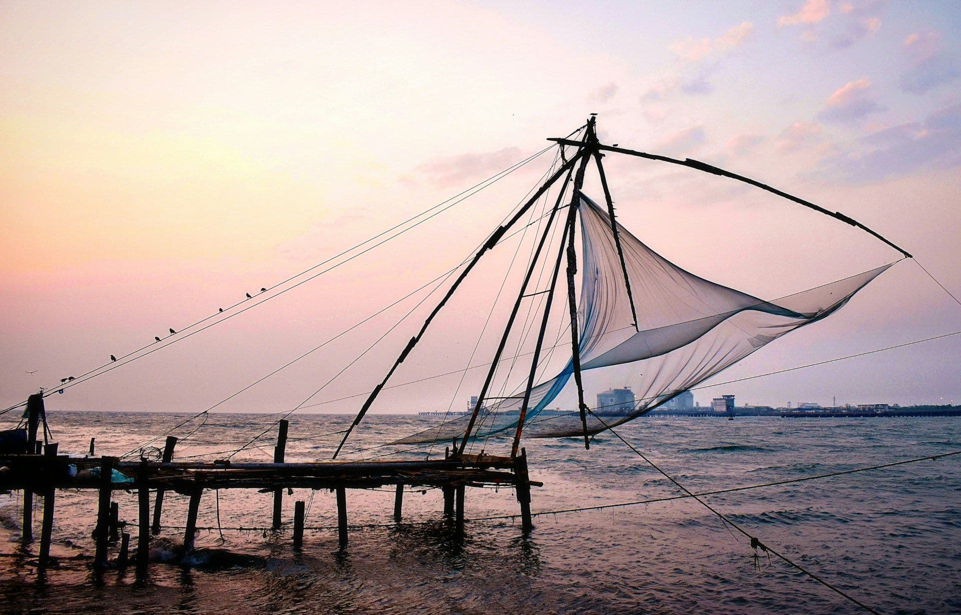 Kerala Panorama Escape: Munnar, Thekkady & Alleppey Tour