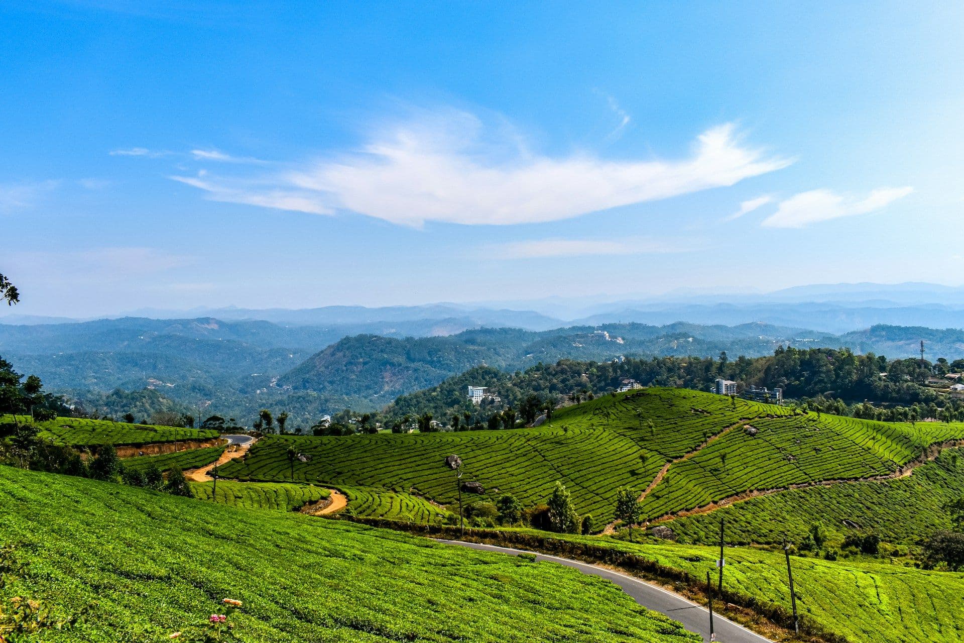Kerala 3N/4D Trip with Munnar & Alleppey Backwaters (3 Nights / 4 Days) 2