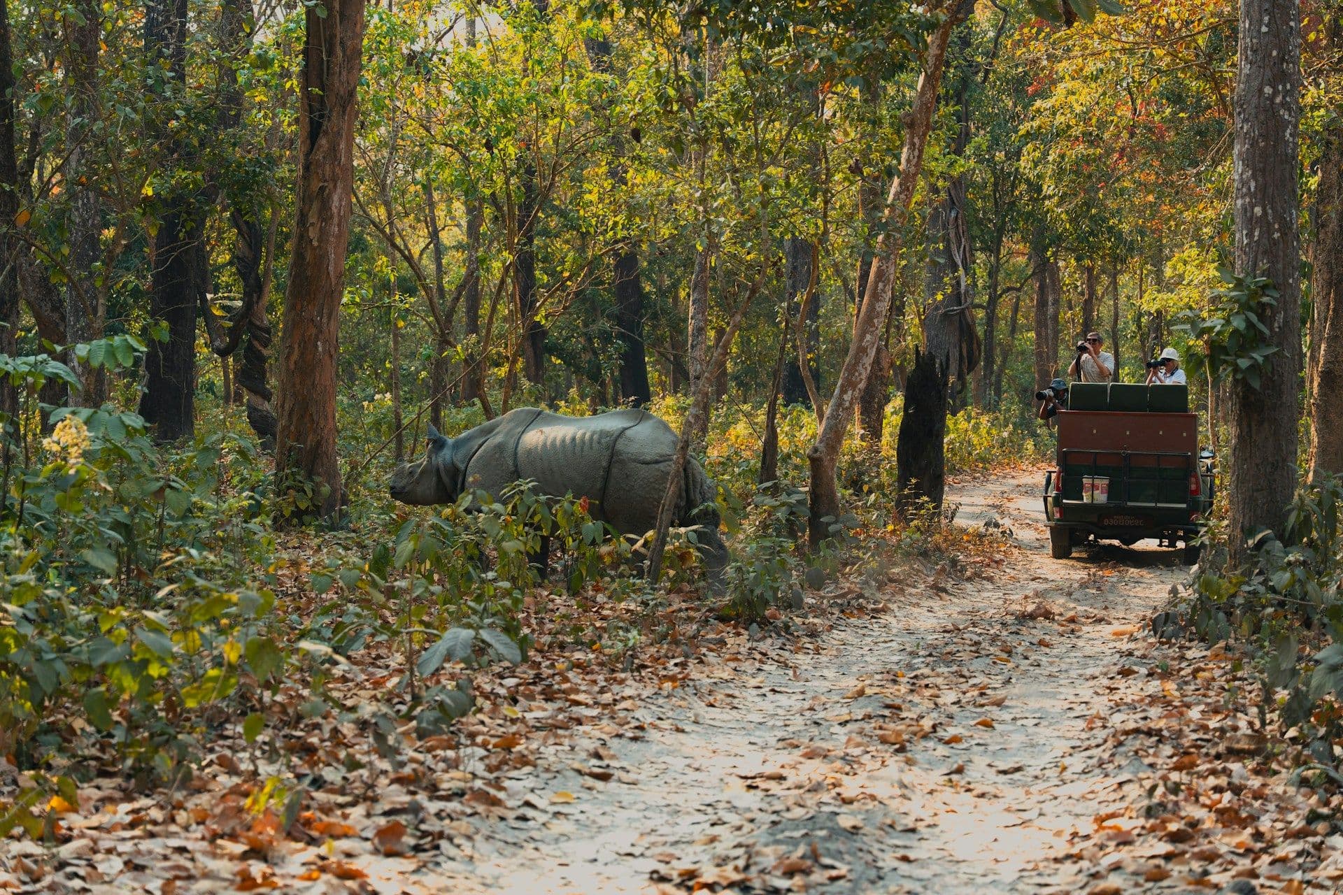 Gujarat Heritage & Wildlife Tour Package – Gir, Somnath & Dwarka