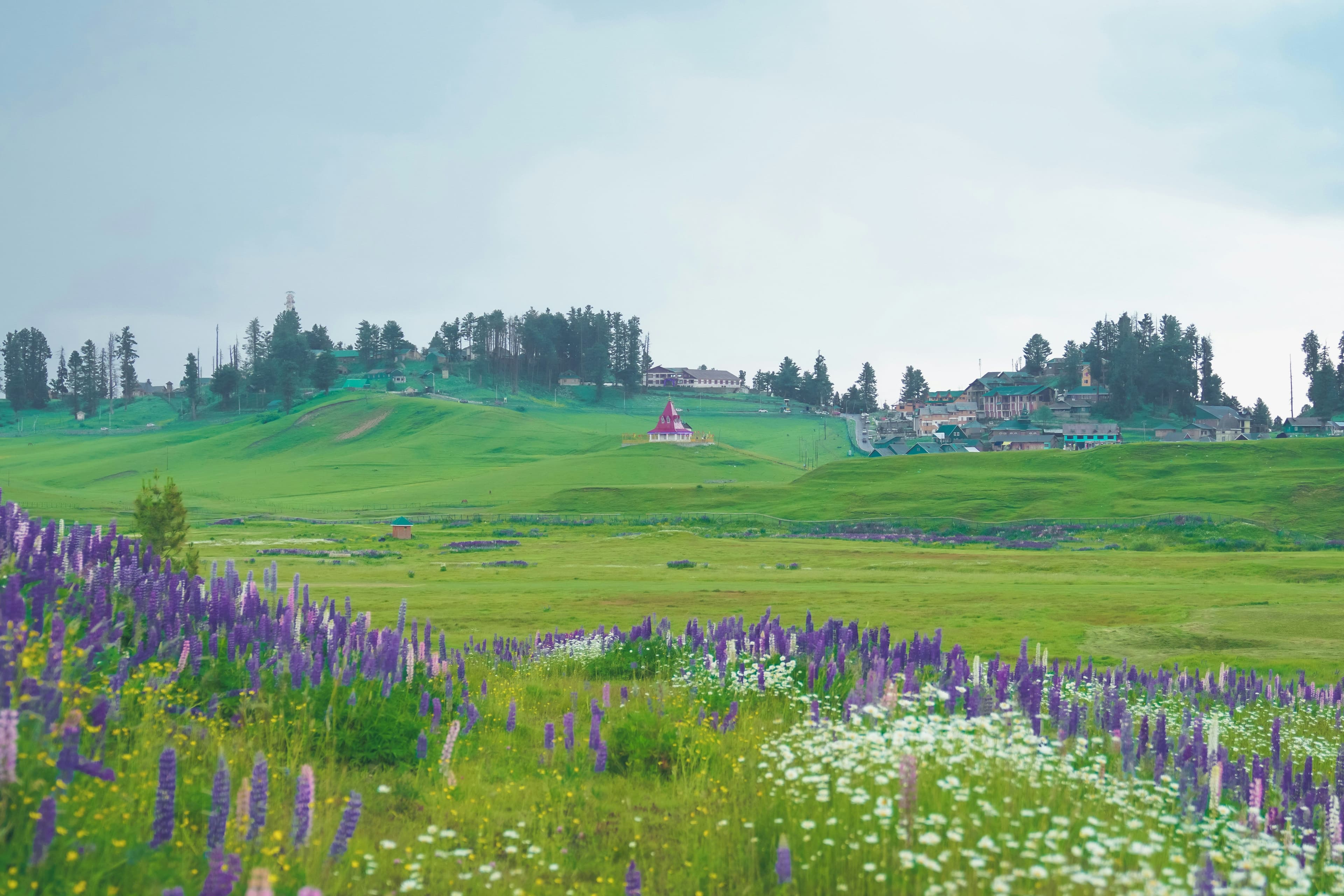 6-Day Kashmir Family Adventure – Houseboats, Valleys & Snow Fun!
