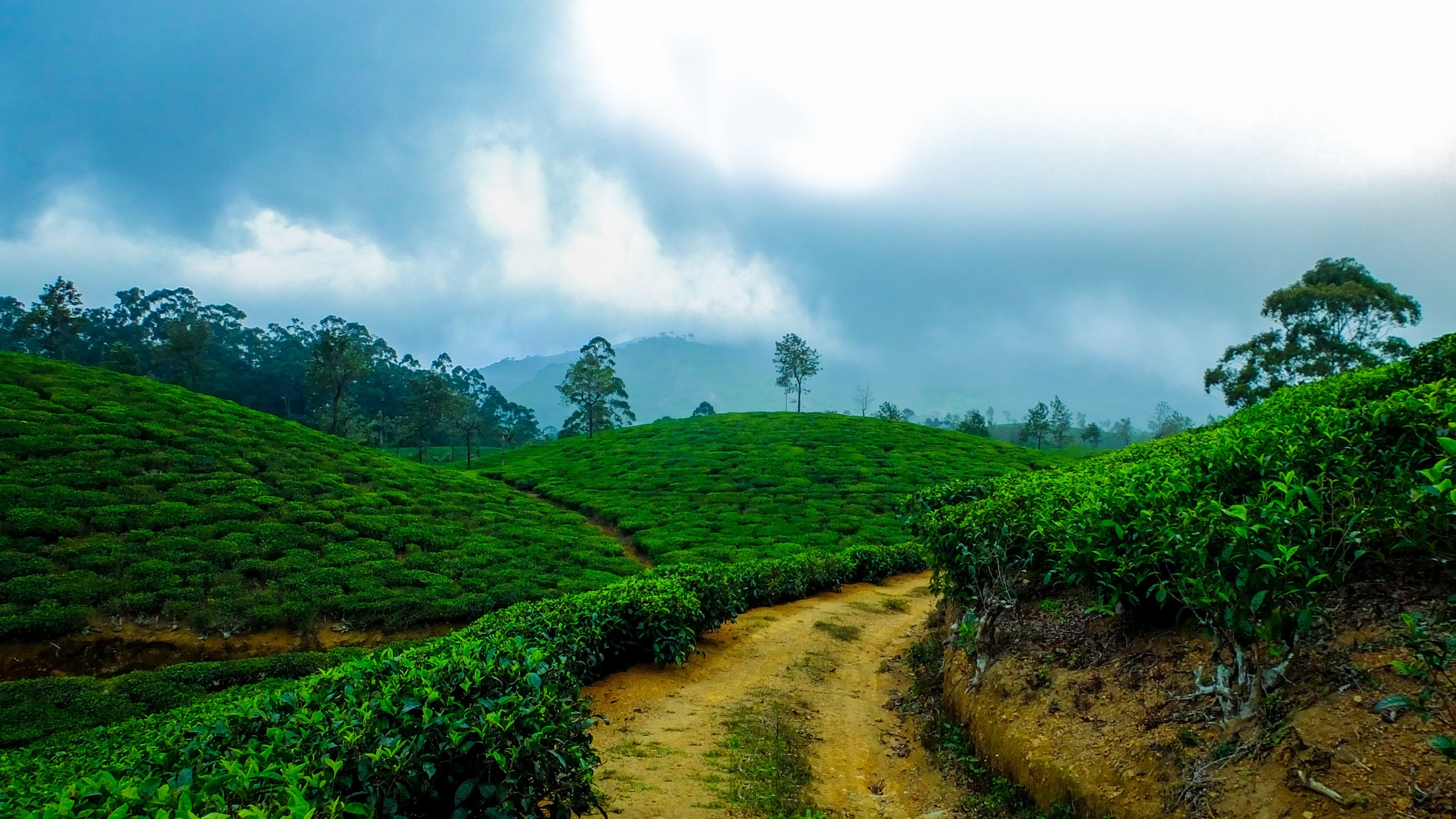 Why Sri Lanka is Perfect for Your Next 8-Day Group Trip