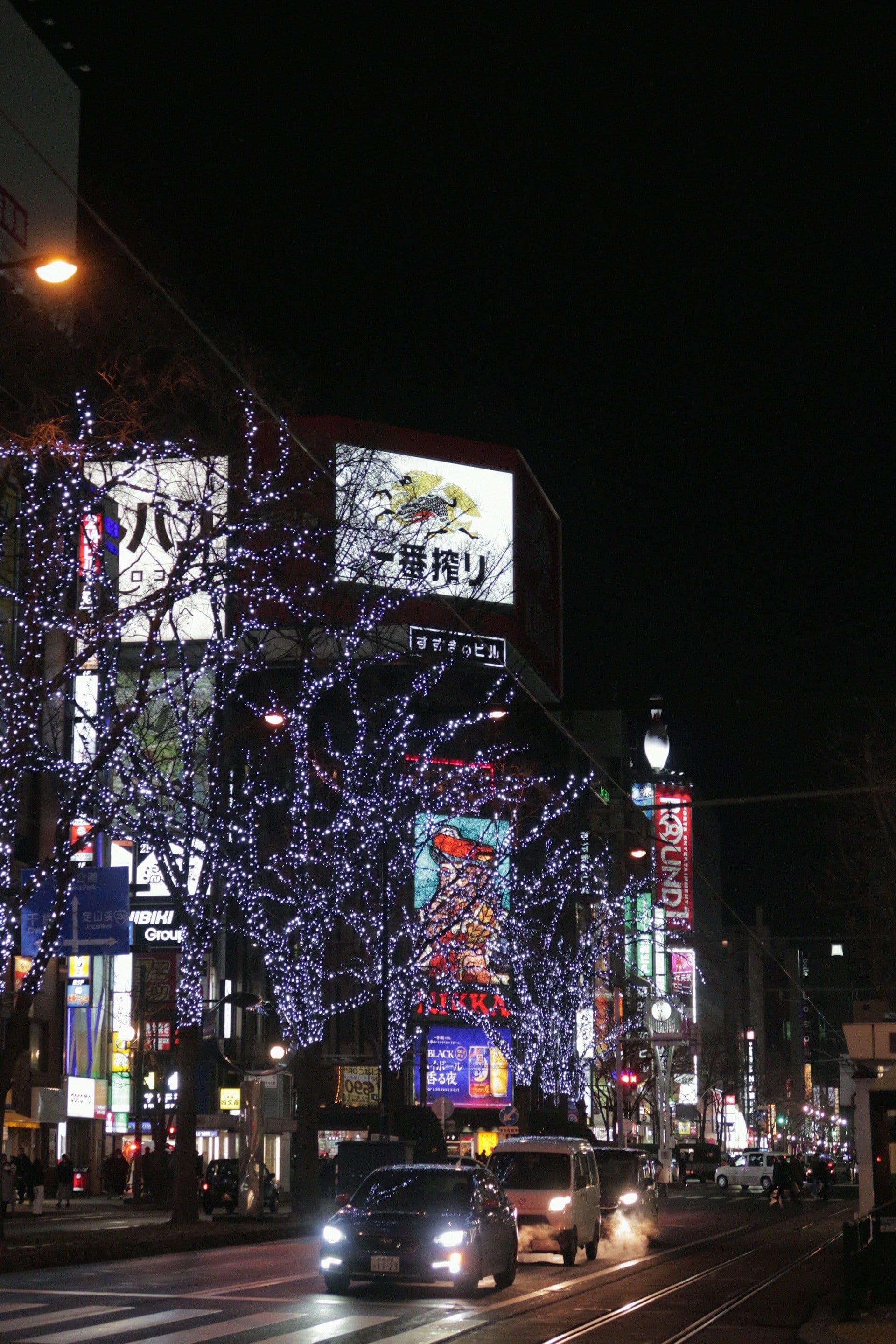 Japan Christmas & New Year Trip: 10 Days of Winter Magic