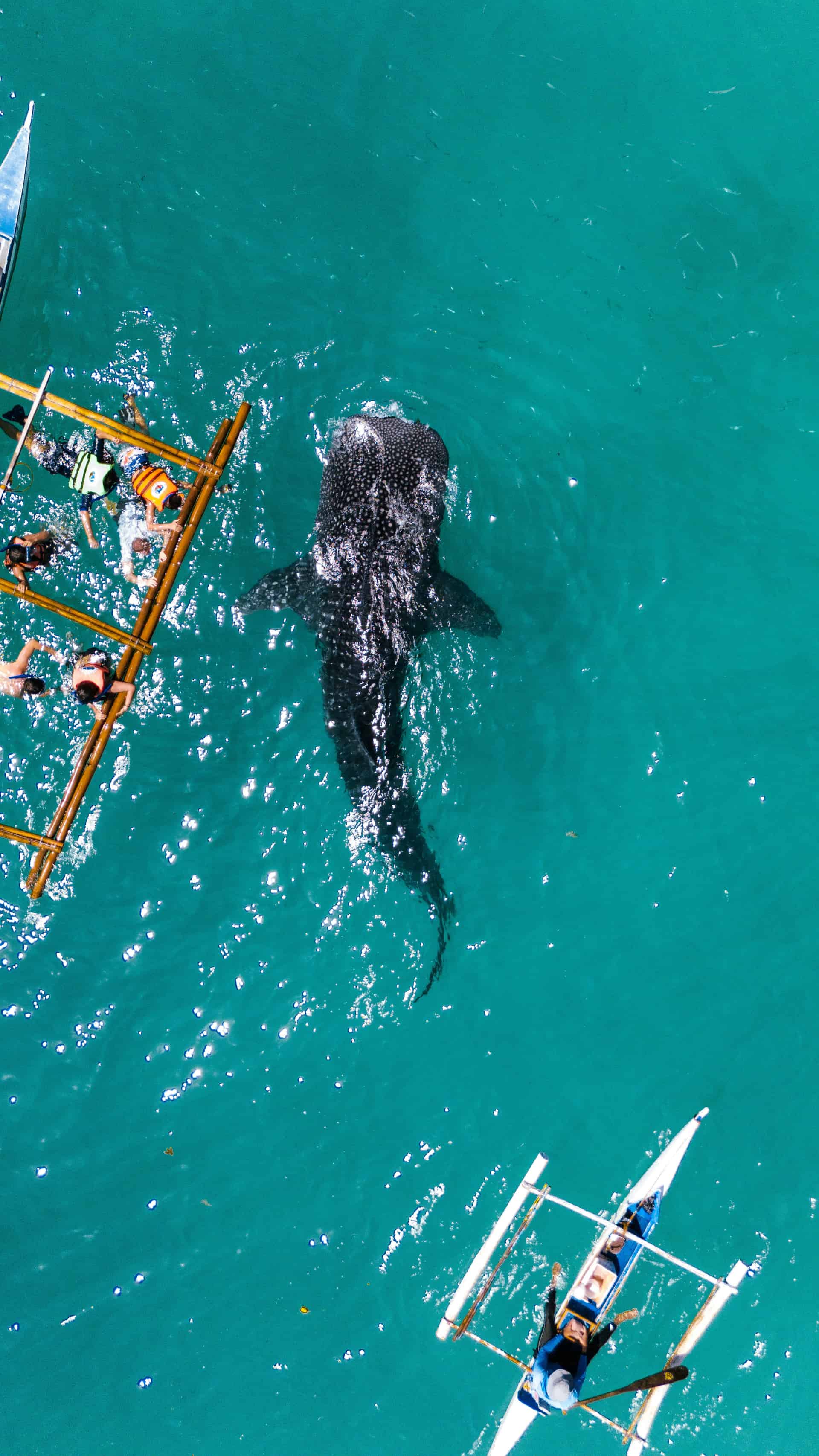 n86l3xfo1vl9pytnql12rztq