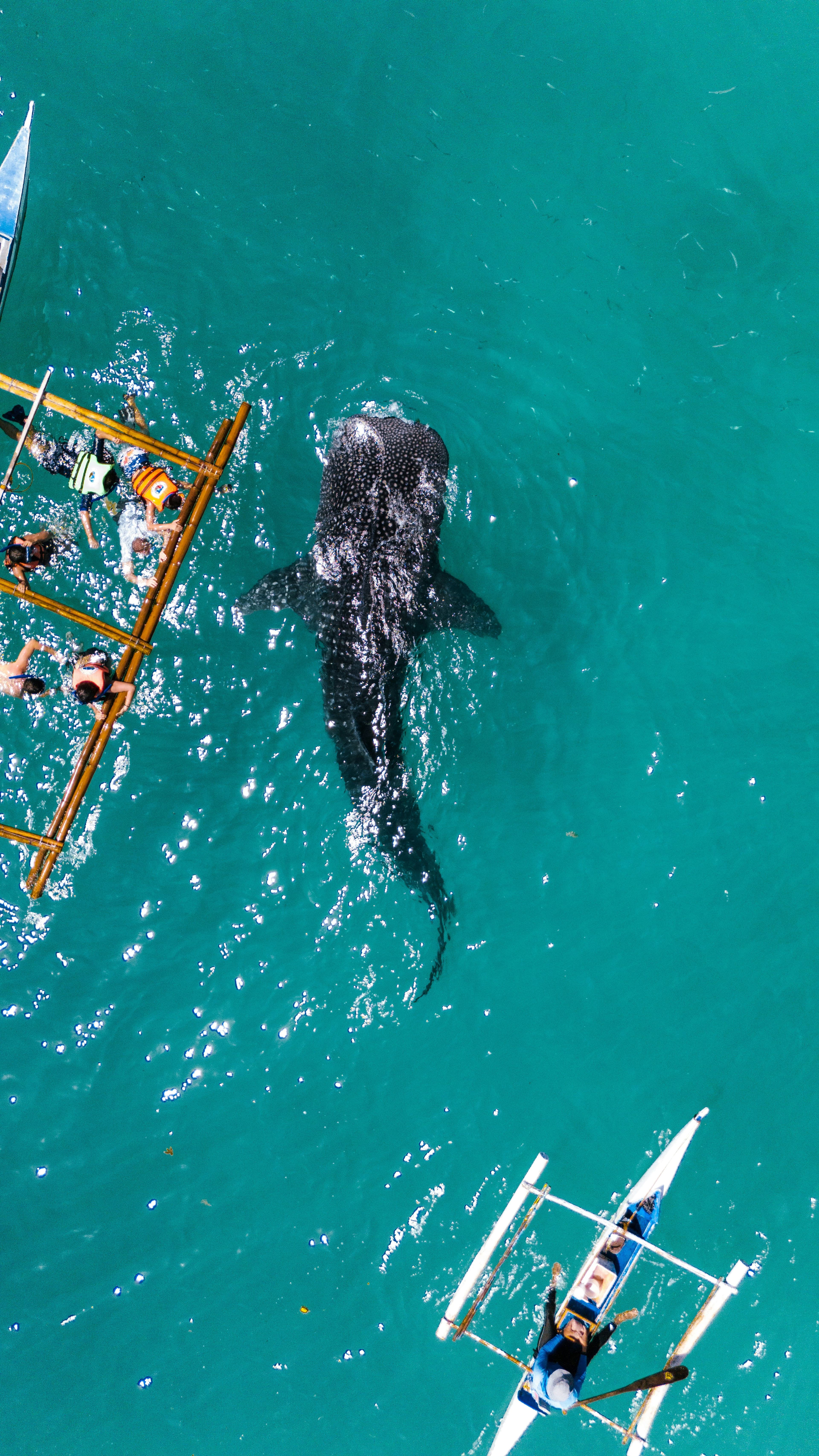 n86l3xfo1vl9pytnql12rztq