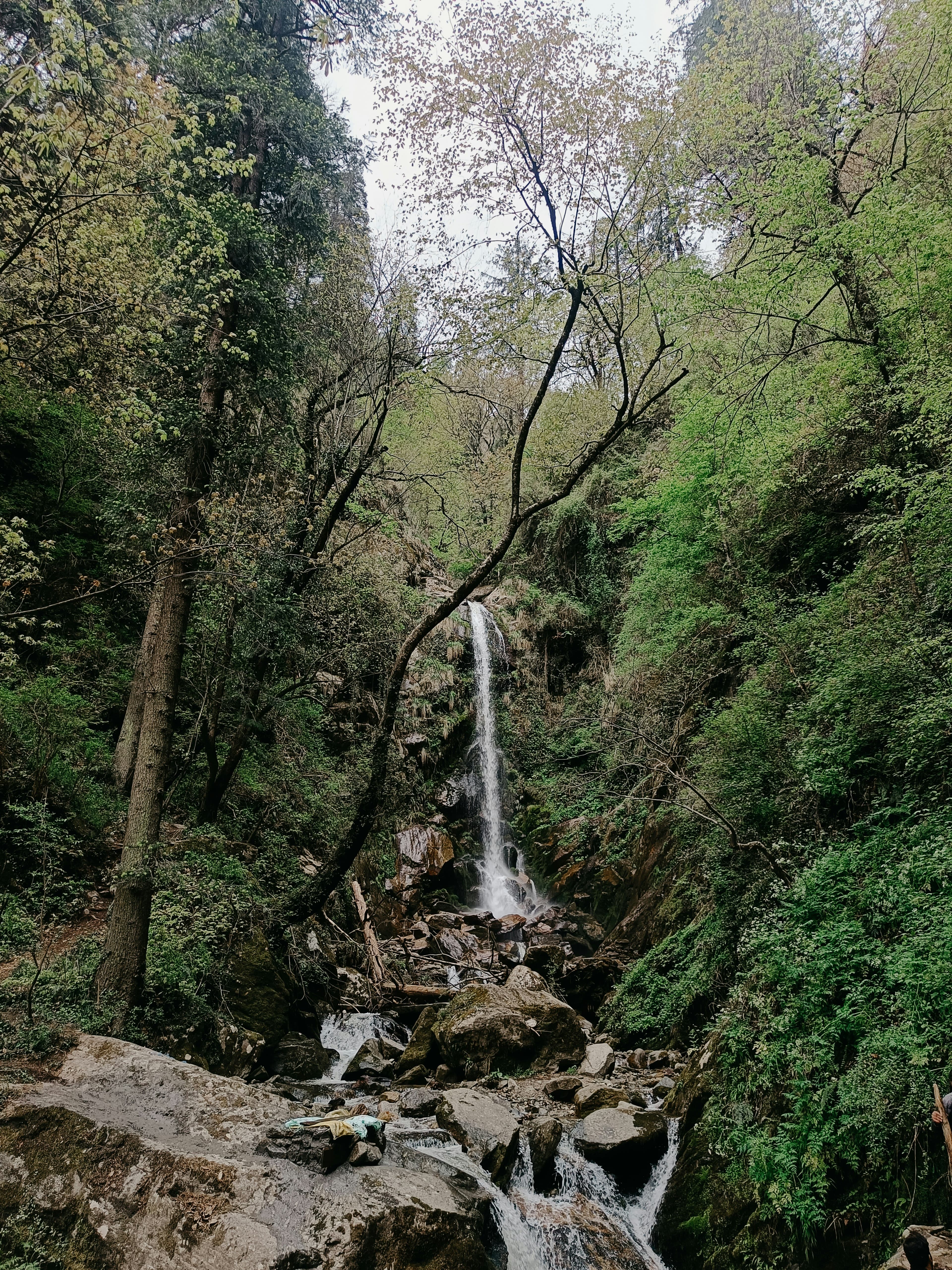 k97b81biflcy7b8xq9vm4jkm