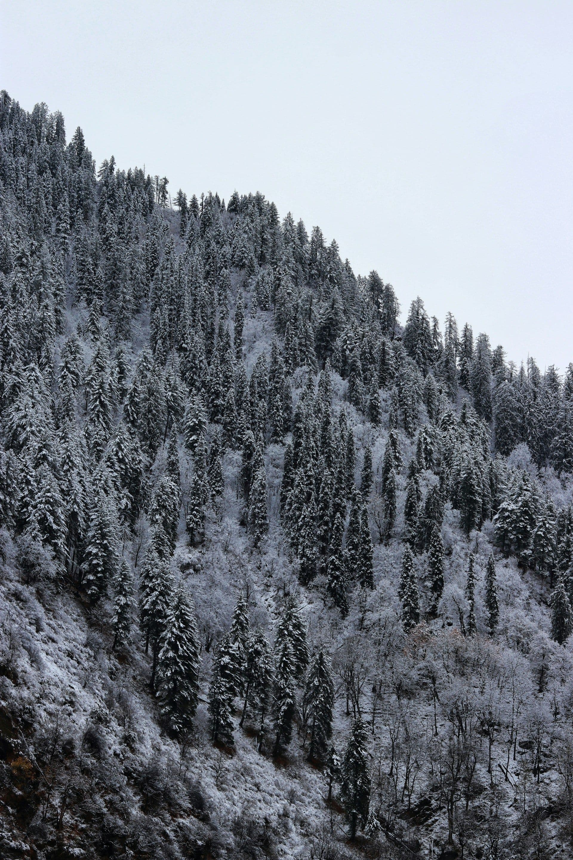 Himachal Christmas & New Year Backpacking trip 2