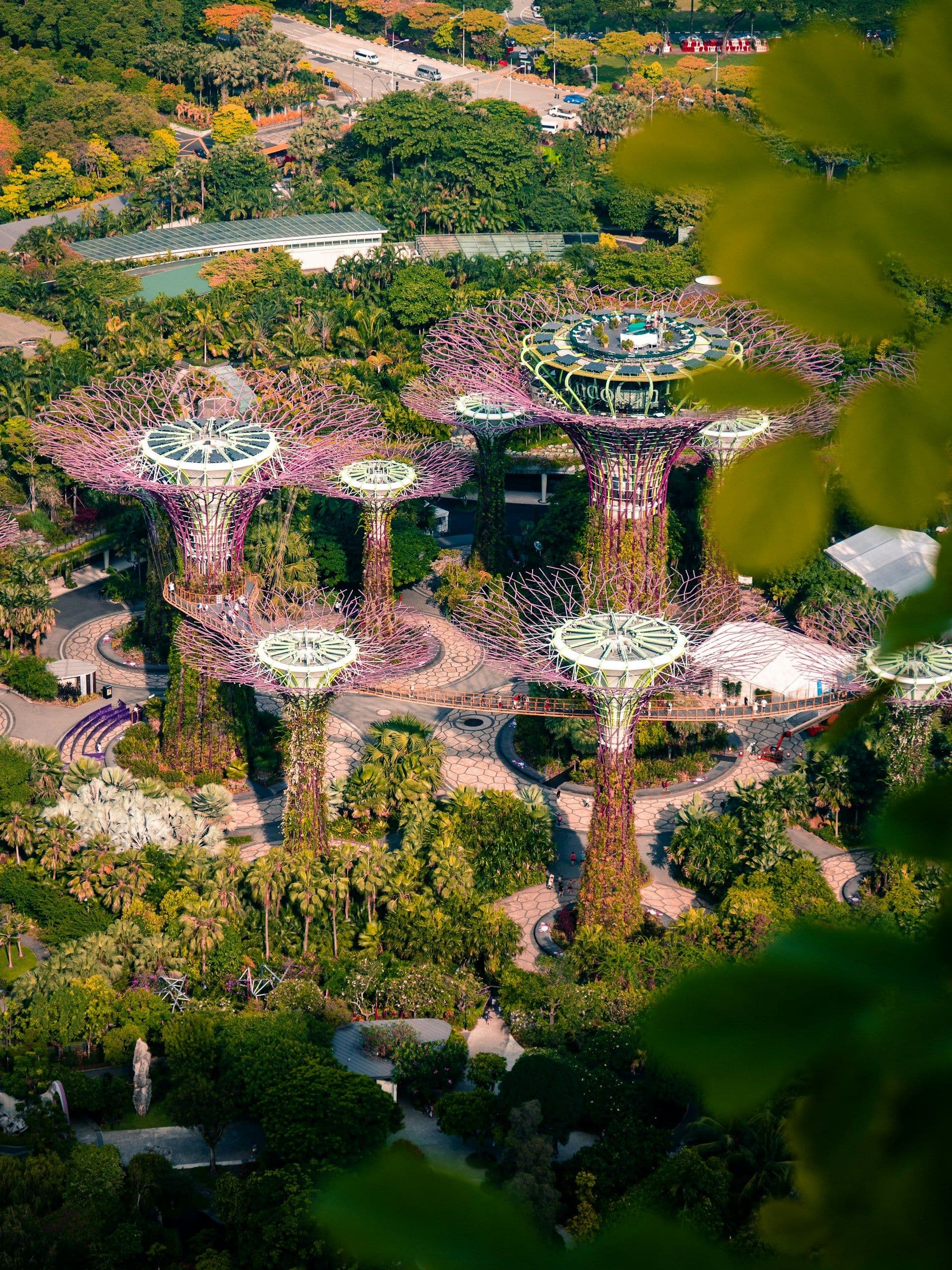 5 Days Singapore Tour with Night Safari & Sentosa 2