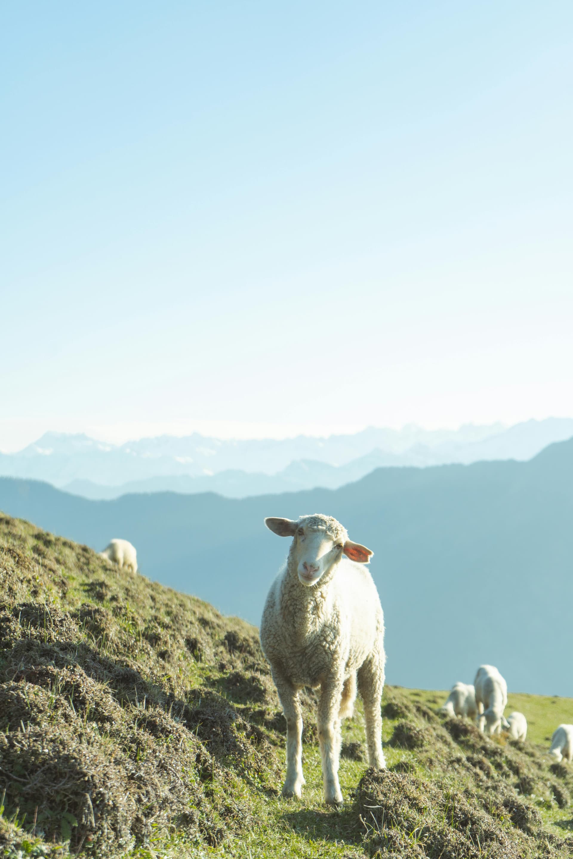 3 Days Tirthan Valley Expedition: A Nature Lover's Retreat in the Himalayas