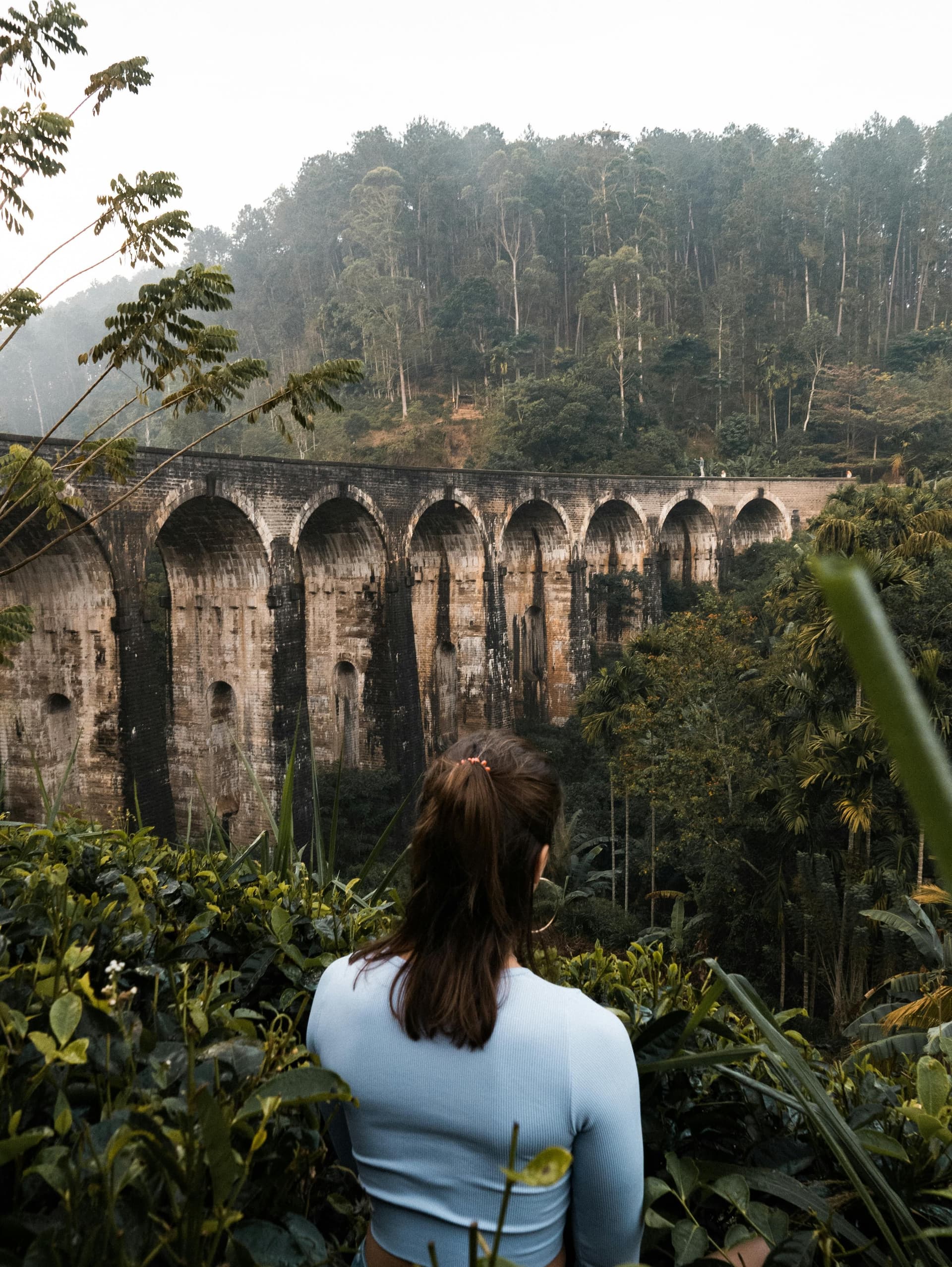 hh8lhhlml90h19g13mwn2n5x