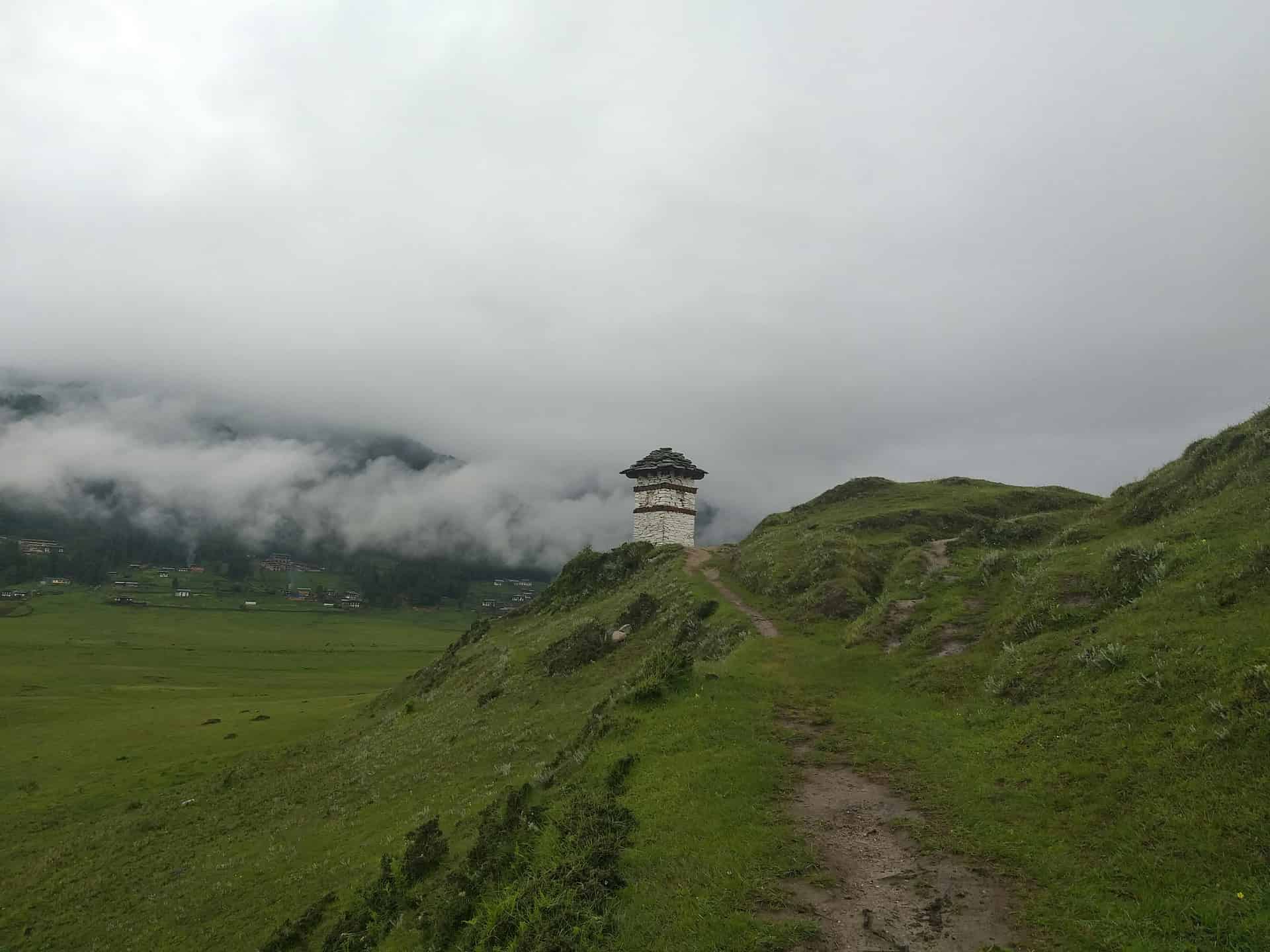 pftu8ejfmzsh3bw985wc8kvz