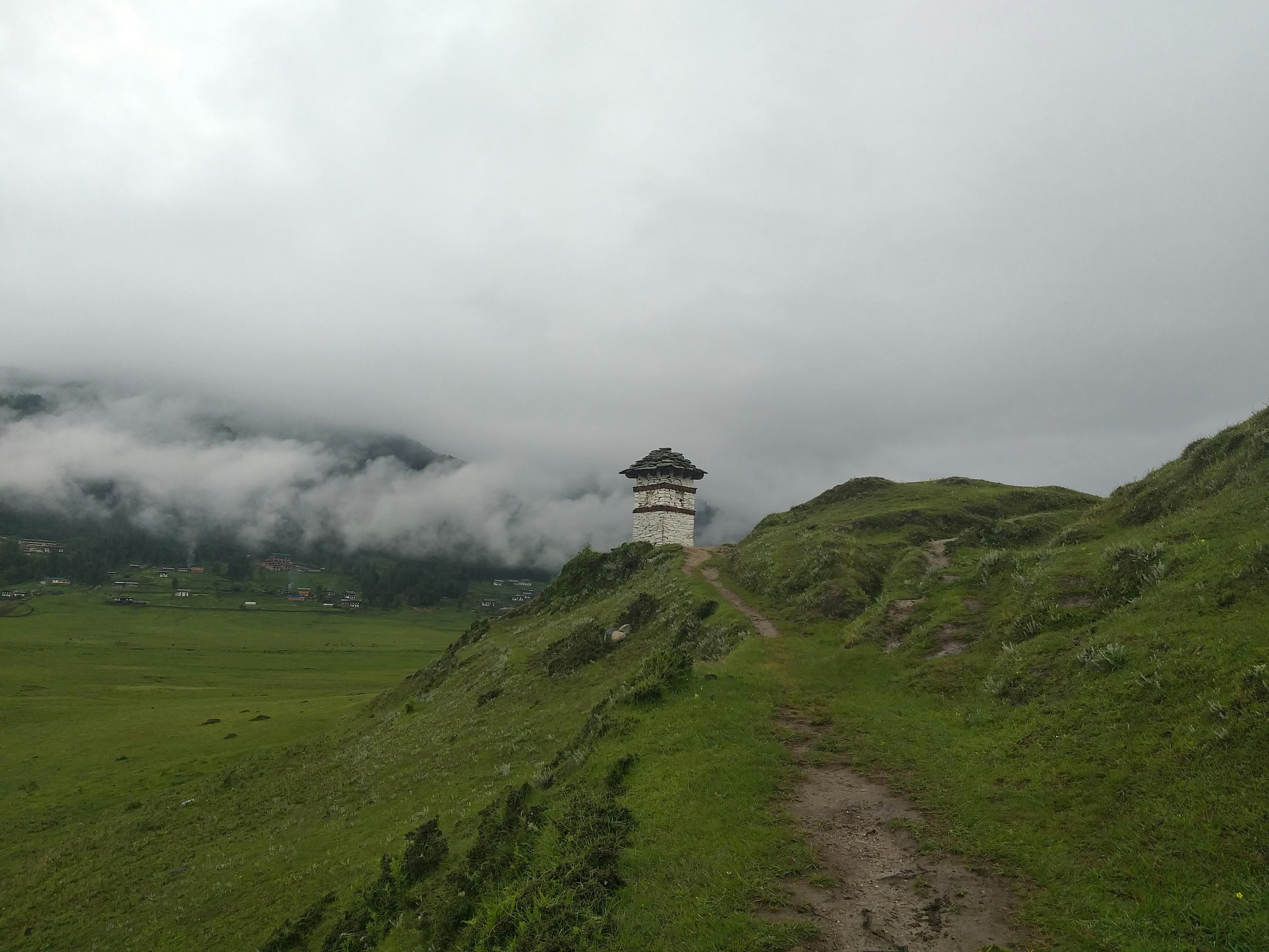 pftu8ejfmzsh3bw985wc8kvz