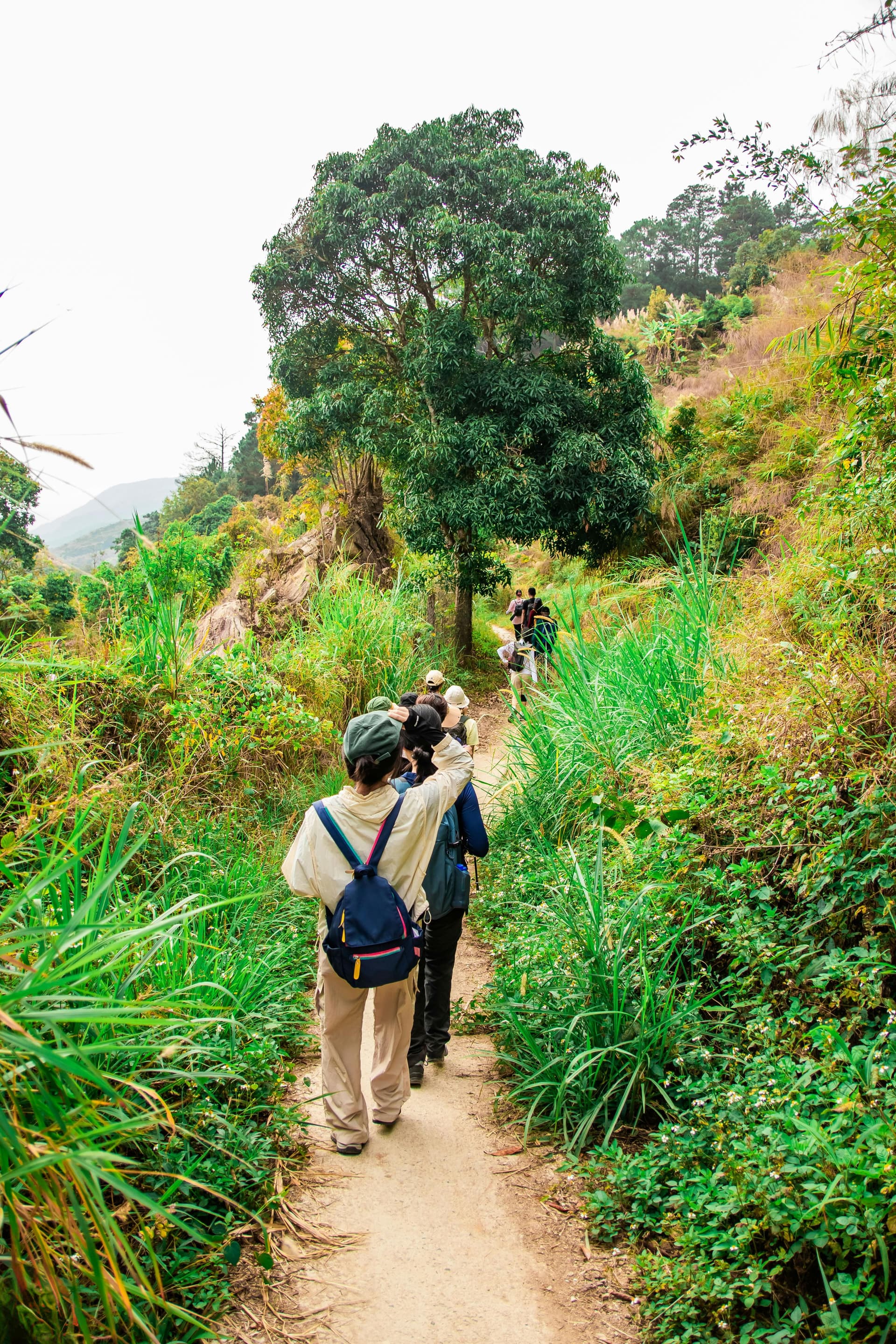 Complete Vietnam Family Tour Package 2