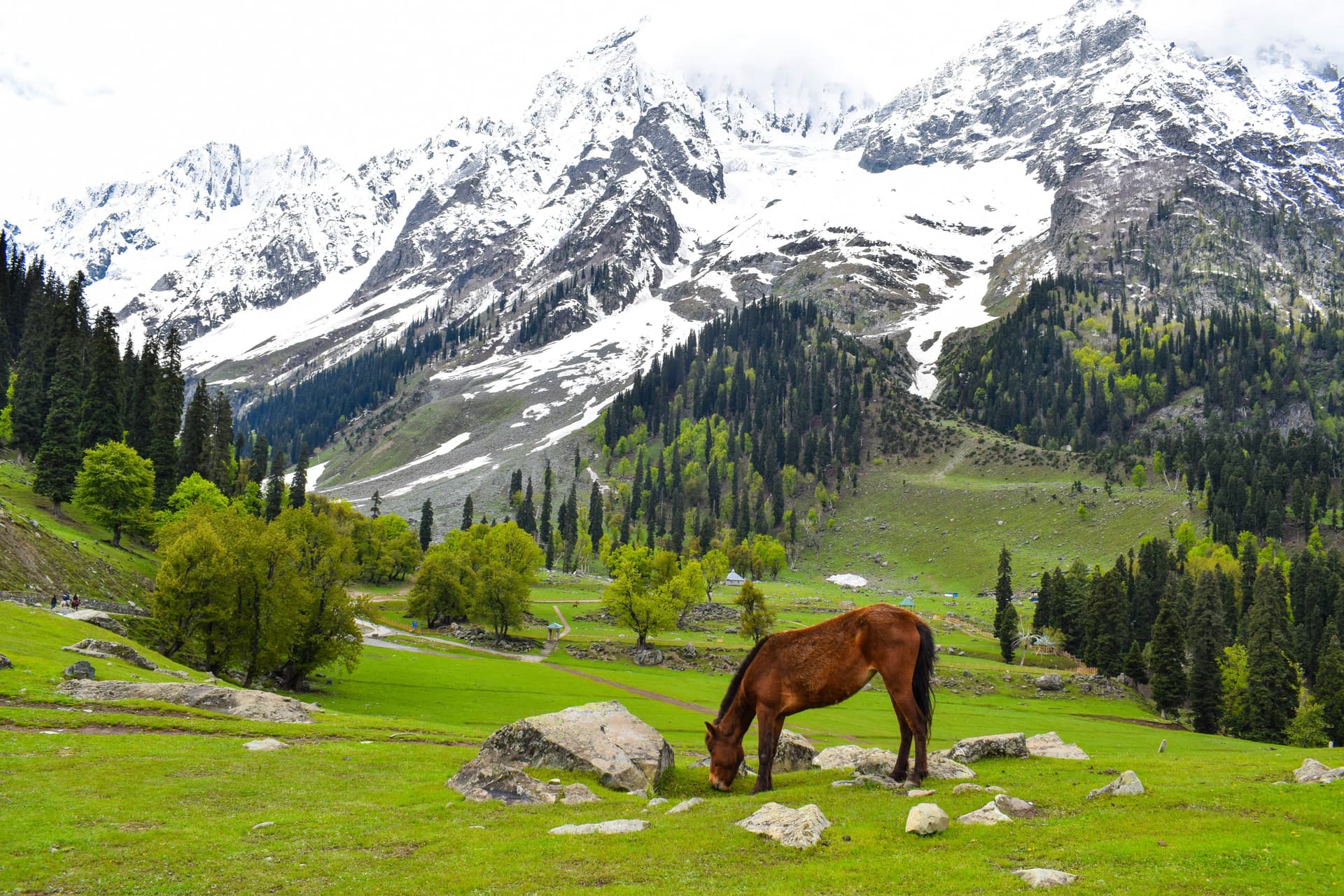 6-Day Kashmir Family Adventure – Houseboats, Valleys & Snow Fun!