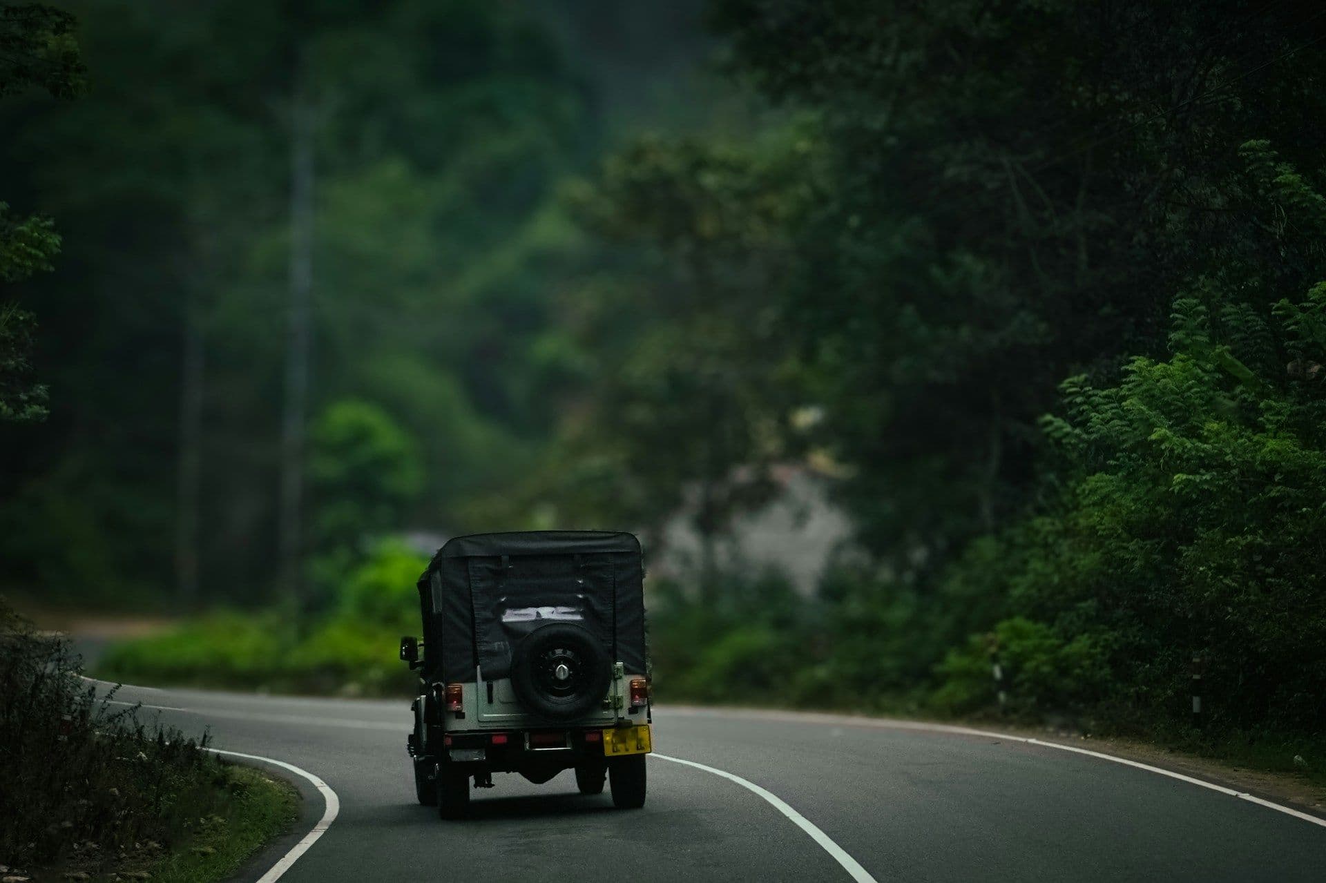Kerala Escape: A Scenic Journey Through Munnar & Thekkady in 4 Days 1