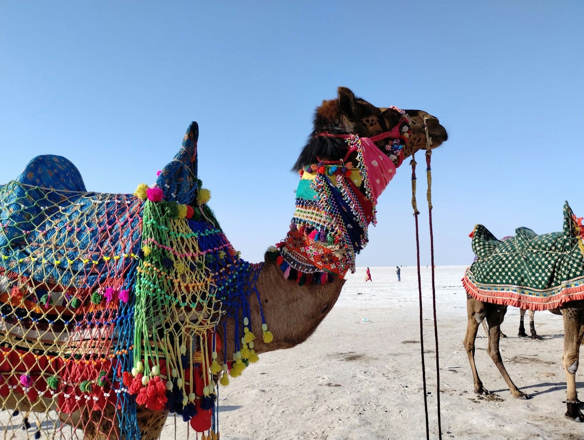 Gujarat Rann of Kutch Tour Package – Bhuj, Mandvi & White Desert Escape