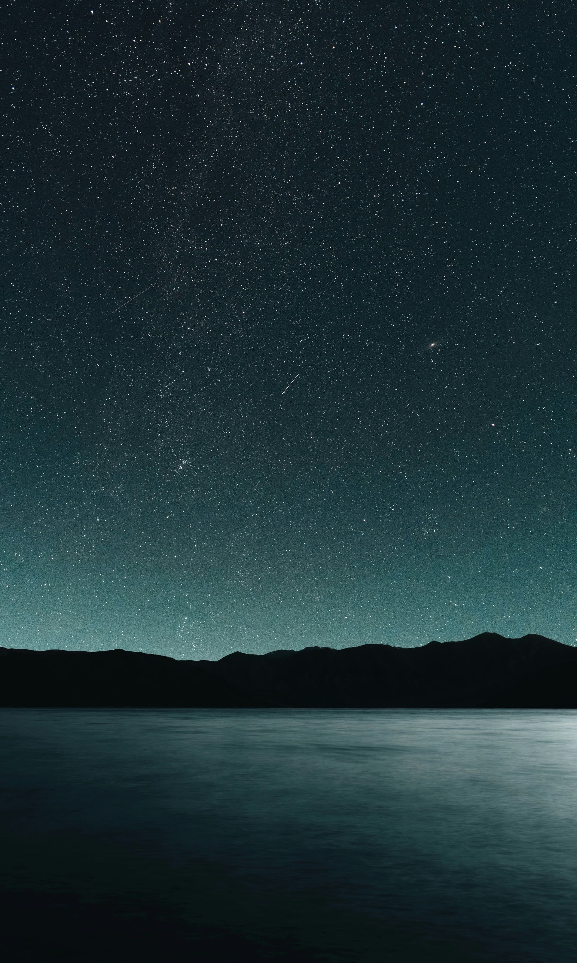 nevrp1oogjq4rpwmx7diz29j