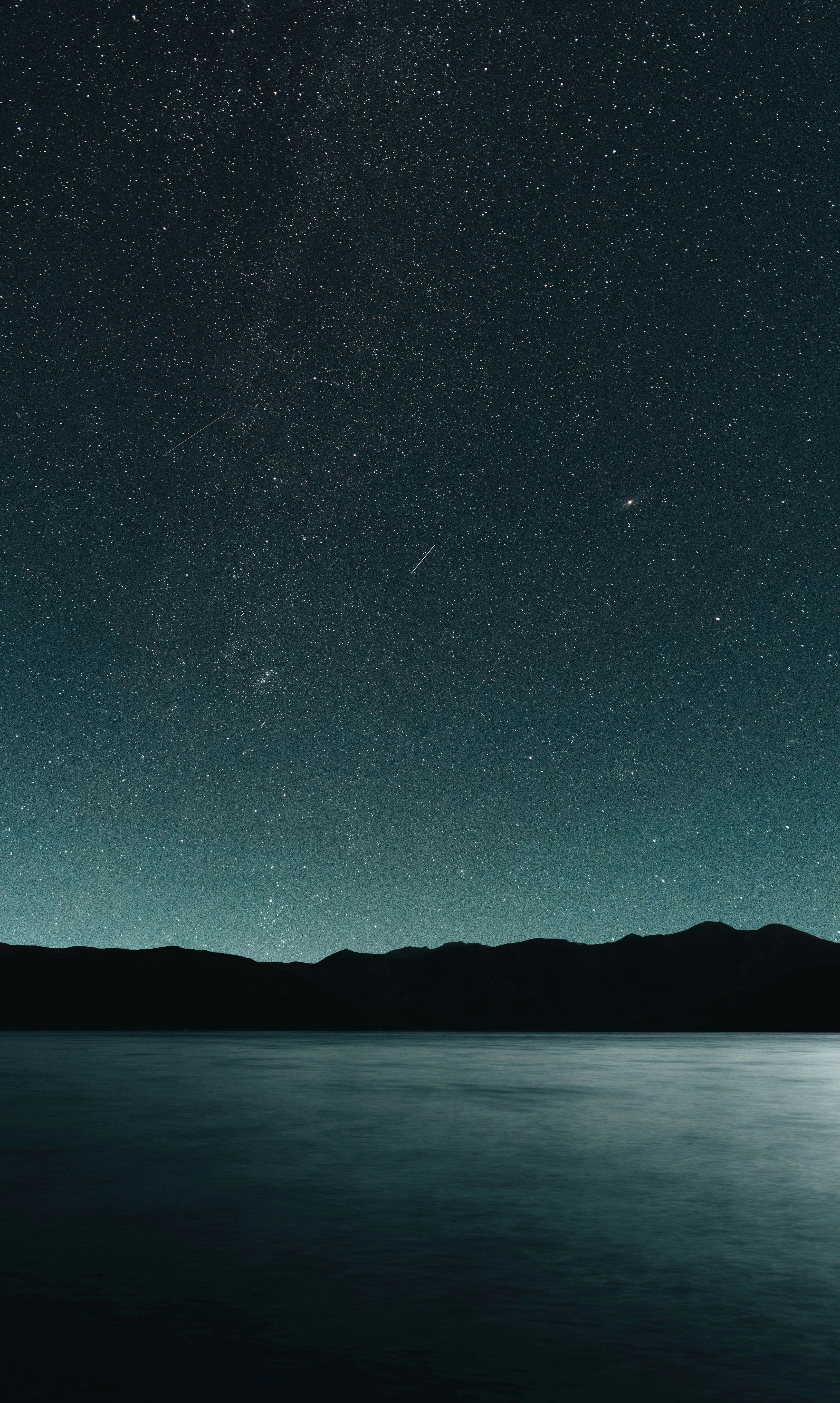 nevrp1oogjq4rpwmx7diz29j