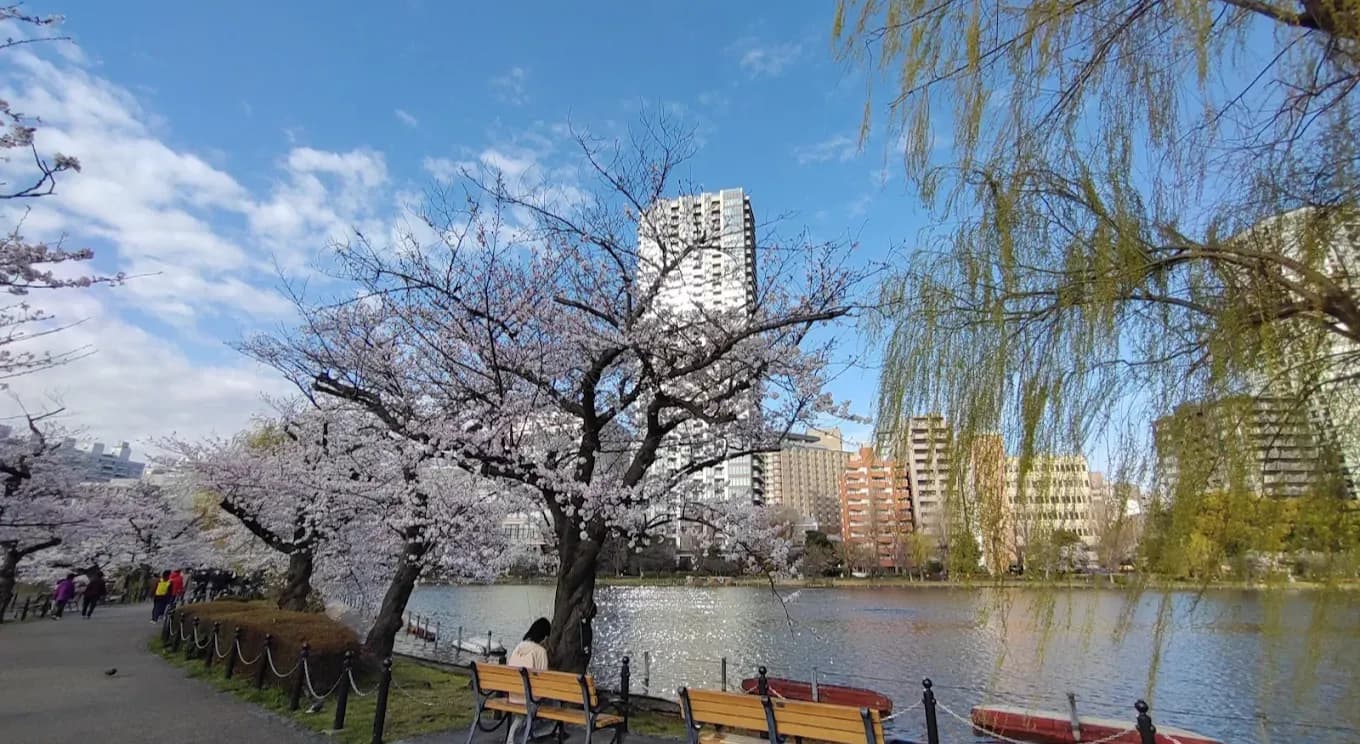 Ueno Park Tokyo: A Complete Guide for 2025